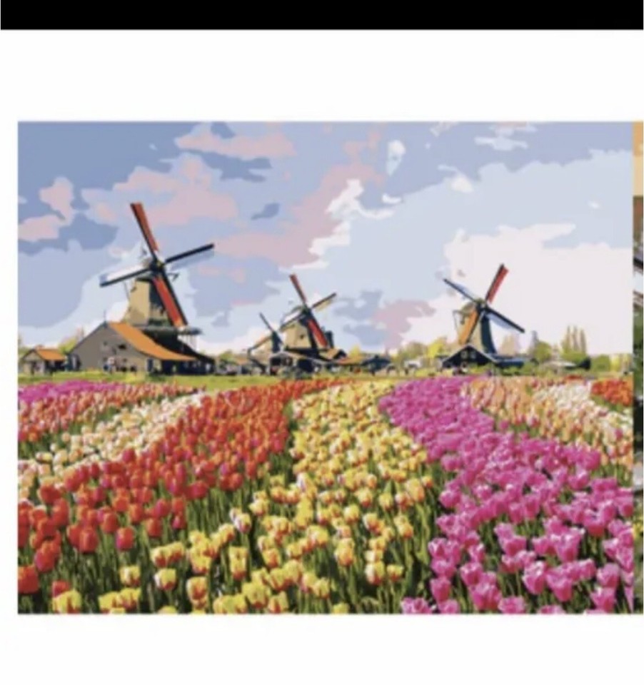 Job Lot Of 32 Painting By Numbers Oil On Canvas Sets Adults eBay