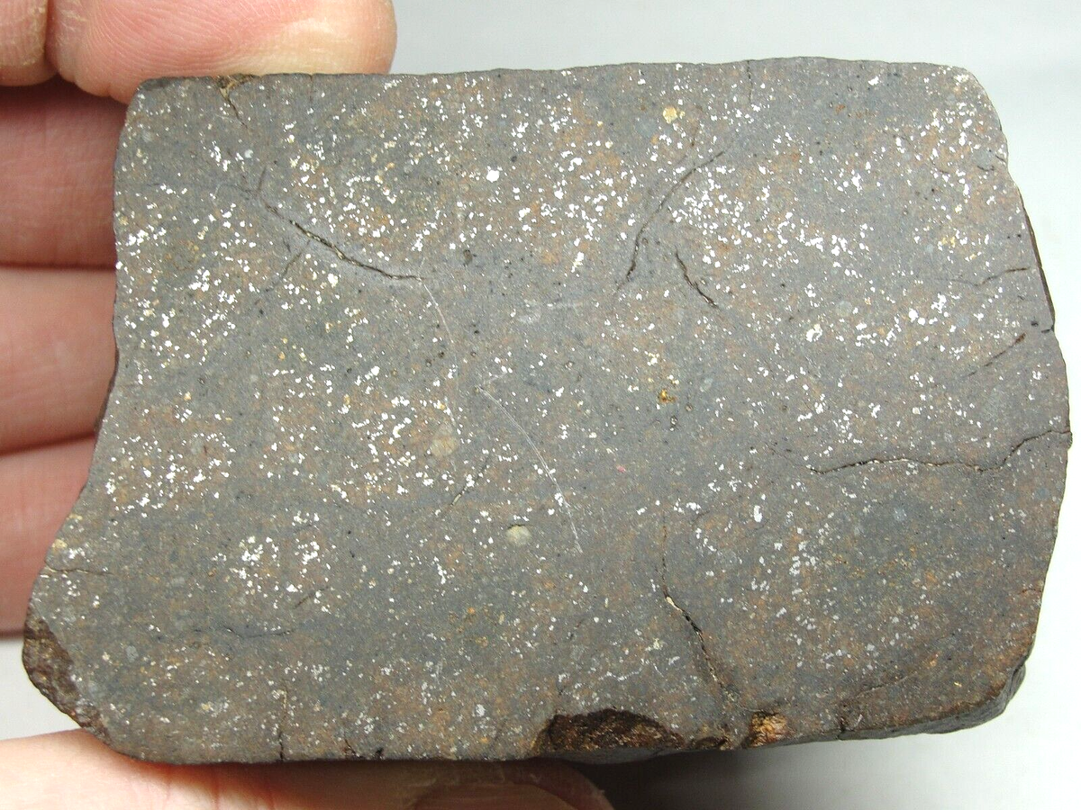 洋書 A Color Atlas of Meteorites 洋書 A Color Atlas of Meteorites A Color Atlas of Meteorites