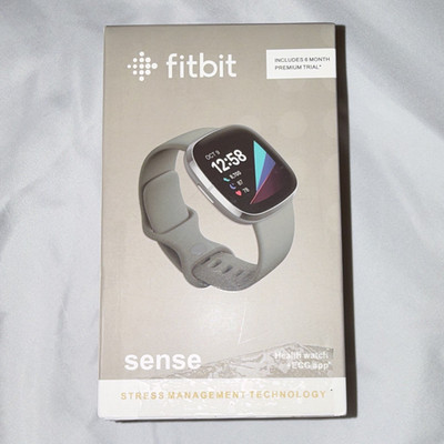 Fitbit Sense ECG Smartwatch 40mm Silver Stainless Case Gray Silicone Band