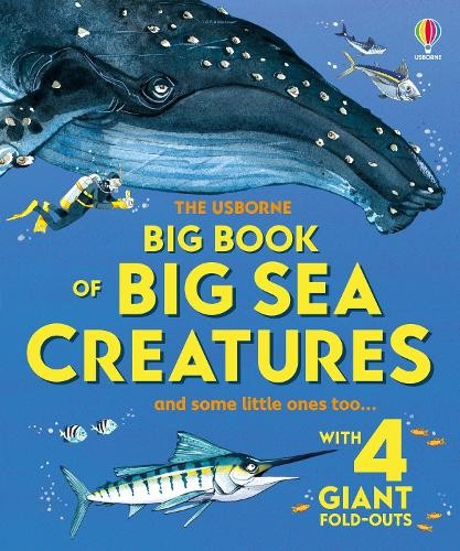 Big Book of Big Sea Creatures by Minna Lacey, Fabiano Fiorin - 9781836040194