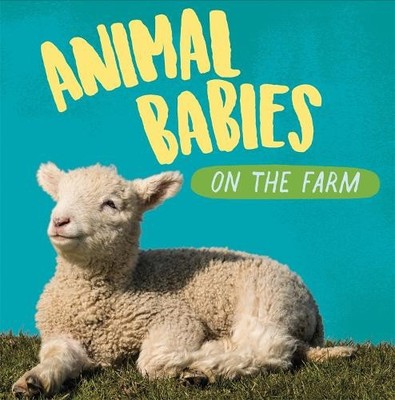 Sarah Ridley Animal Babies: On the Farm (Taschenbuch) Animal Babies