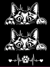 Curious Peeking Kitty Cat White Vinyl Decal Car Windows Laptop Tablet 3 Pack