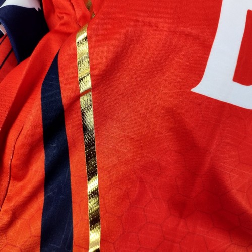 Camiseta deportiva PUNJAB KINGS Match PBKS para hombre edición jugador Tata IPL 2025 - Imagen 5 de 16