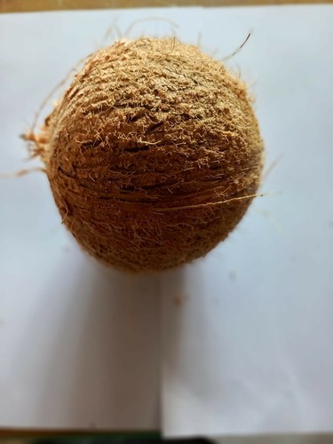 COCONUT SHELL CHARCOAL100%PURE ORGANIC NATURAL CEYLON ACTIVATED CARBON CHIPS100g - Picture 3 of 6