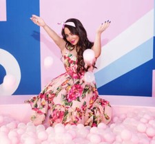 Rare Dolce & Gabbana Pink Floral Poplin Ruffle Dress Rare Sold Out Barbie Style