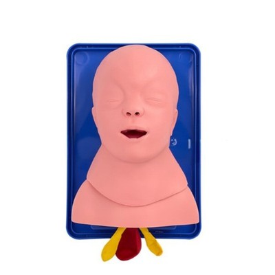 Infant Tracheal Intubation Training Model Infant Intubation Training Model