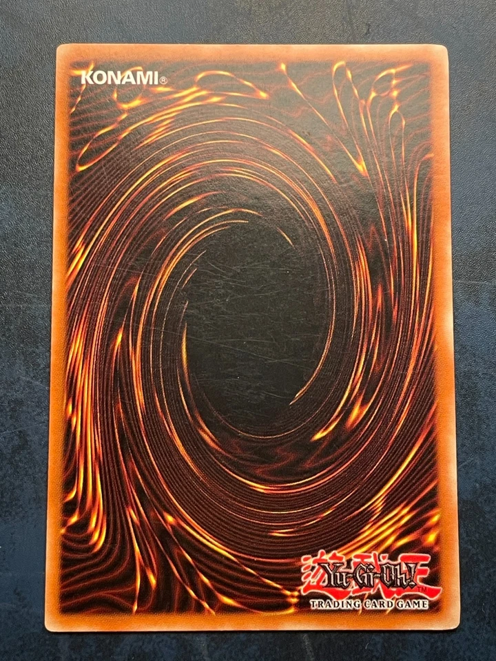 Red-Eyes Black Dragon, Foto 4 von 5