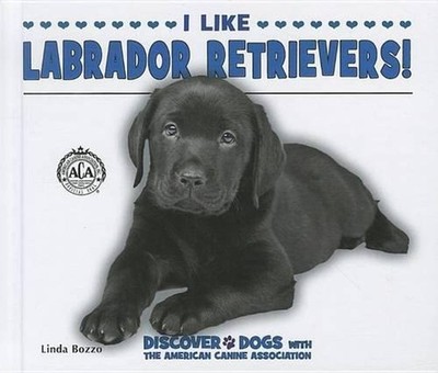 I Like Labrador Retrievers! by Linda Bozzo (English) Hardcover Book