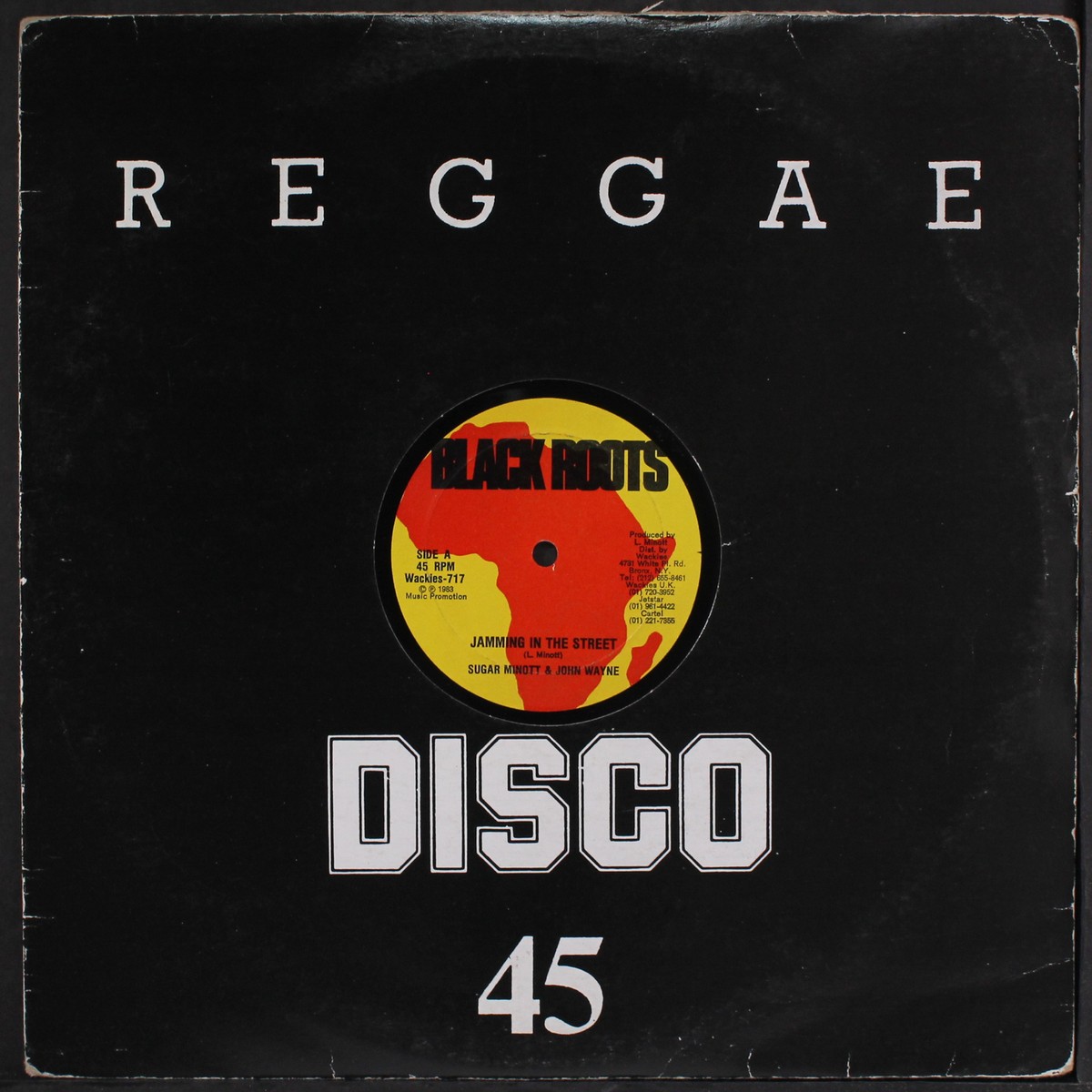 洋楽 Sugar Minott / Love And Understanding 12 SUGAR MINOTT & JOHN WAYNE: jamming in the street Wackie's 12