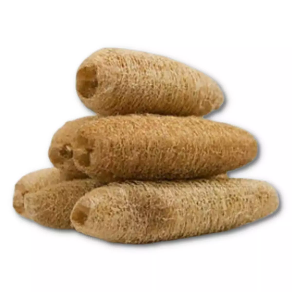 Luffa scrub cheap