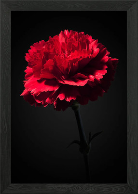 Rote Nelke gerahmtes Wandbild Poster Leinwanddruck Bild