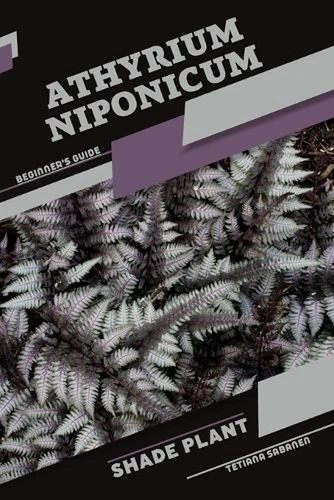 Athyrium niponicum: Shade plant Beginner's Guide by Tetiana Sabanen Paperback Bo