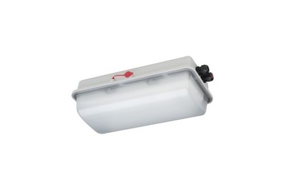 Schuch Licht LED-Ex-Wannenleuchte e855F L20 DIMD Licht 855000004