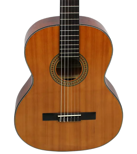 Segovia acoustic electric guitar deals