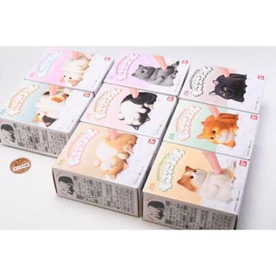 Mocchiri Kororin♪ Cat [Set of 8 types (full complete)] Capsule