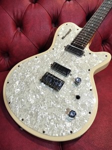 Godin Radiator | eBay