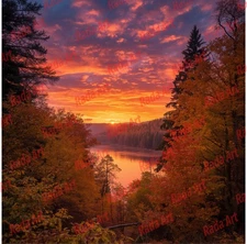 Digital Art Ai Image Picture Photo Wallpaper for Desktop Autumn Forest Nature