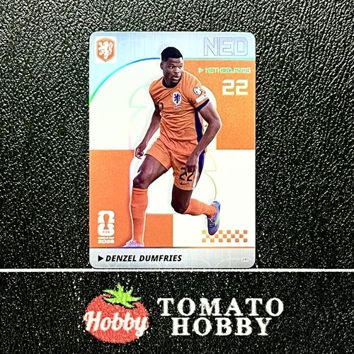 2026 Panini Denzel Dumfries RAW