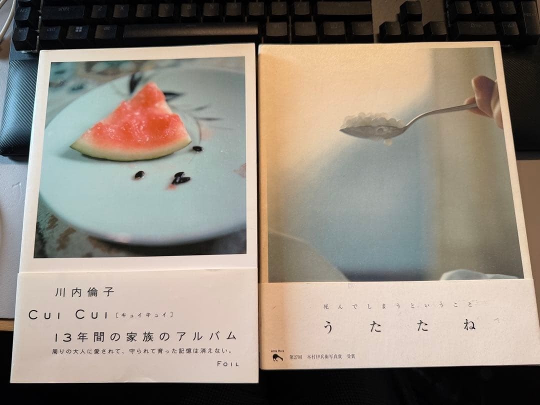 Rinko Kawauchi Photobook 2 Set: CUI CUI & Utatane Japanese Art Photography