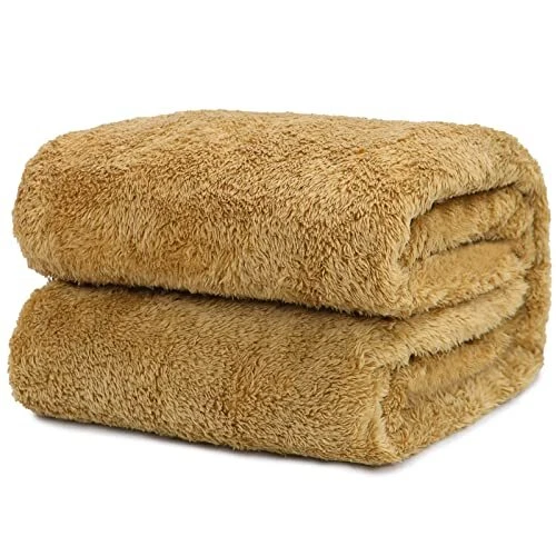 How big is a online 50 x 40 blanket