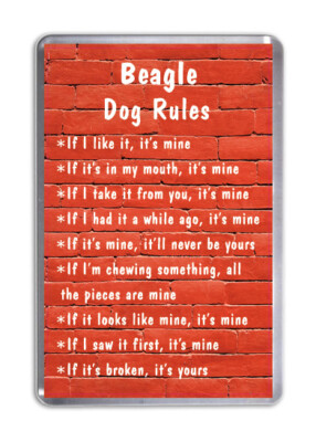 Beagle Hund Regeln, lustiger Hund Kühlschrankmagnet Haustier Tierliebhaber Neuheit Geschenk