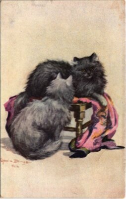 PC KATZEN KATZEN CHINCHILLA CHINCHILLA CATS (a2046)