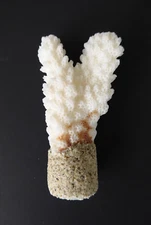 Real Coral Lamp Shade Finial Handmade #15