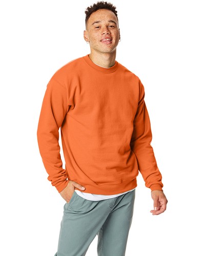 Hanes P160 Unisex EcoSmart Long Sleeve Crew Neck Stylish Pullover Sweatshirt - Picture 170 of 217