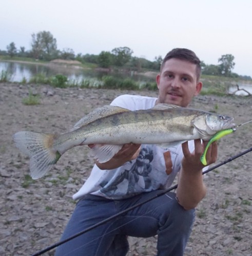 K.P Lazy Shad Leurres Souple 5 " 12,5 CM 5 Pièce Softbaits Sandre Brochet - Photo 4/81