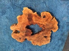 Maple burl cookie cut burl slab wood craft ideas DIY wood Ma23-0241
