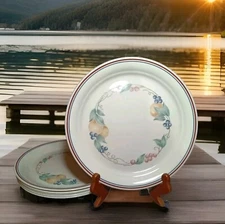 Corelle by CORNING Abundance Dinner Plate 10.5" Set of 6