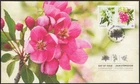 CRABAPPLE BLOSSOM = Official FDC/OFDC = TYPE 1 , [W-R] Canada 2021