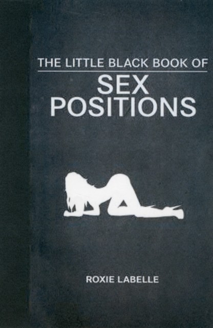 The Little Black Book of Sex Positions by Dan Baritchi HARDBACK 9781620876114