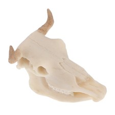 Fish Tank Skull Large Statue Aquarium Decorative Statues