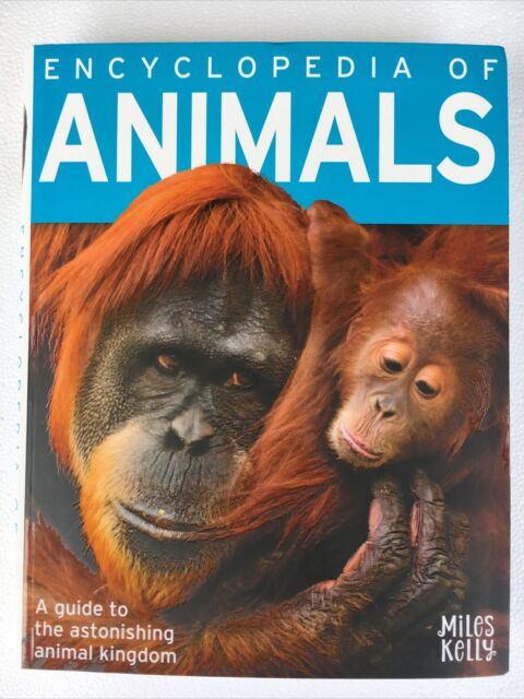 Encyclopedia of Animals by Miles Kelly for sale online | eBay