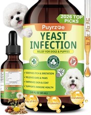Natural Yeast Infection Treatment Dogs Itchy Ears Skin Paws Allergy Relief