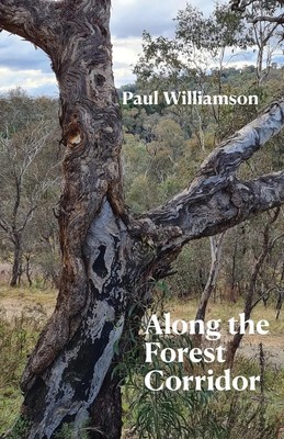 Paul Williamson | Along the Forest Corridor | Taschenbuch | Englisch (2023)