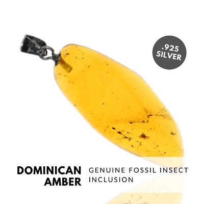 INSECTS - Natural Dominican Amber Pendant, Fossil Inclusion, Sterling Silver