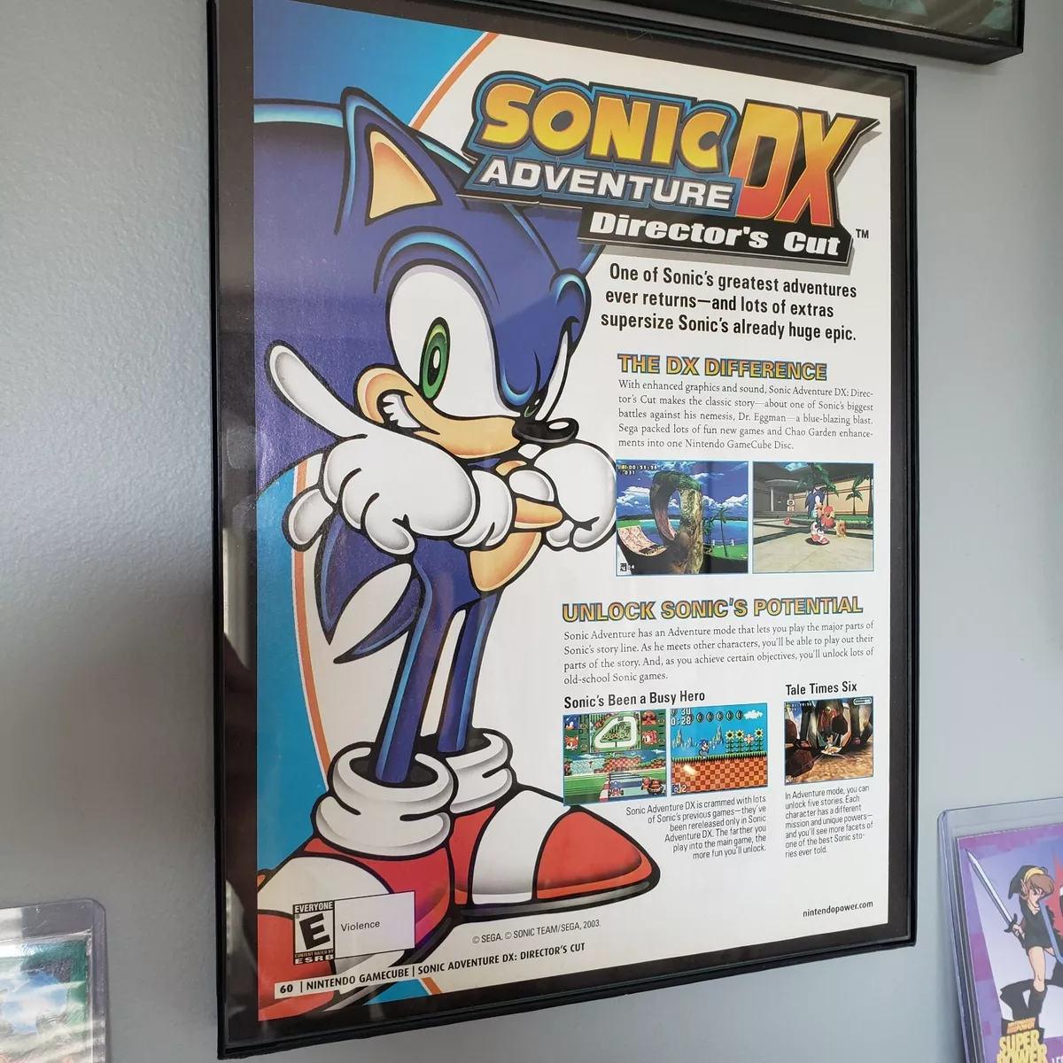  Sonic Adventure DX Director's Cut : Artist Not Provided: Video  Games