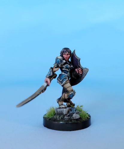 Reaper Dorva Female Elf 03004 Female Fighter paladin D&D pro painted - Picture 2 of 4