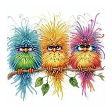 Bird Special Shape Diamond Art Kits for Adults, 5D Diamond Painting Kits for Beg