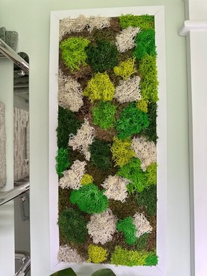 Moss Wall Art Picture Frame, Preserved Moss Wall Decor, Living Wall, Nature Gift