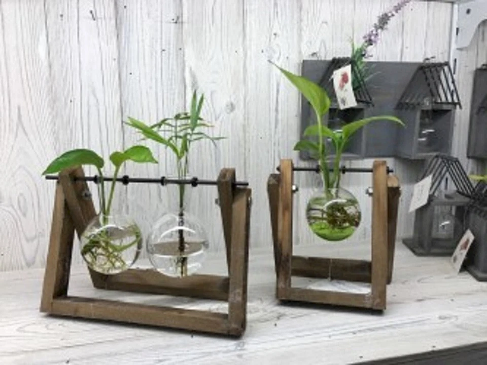 Hydroponische dekorative Blumentöpfe - Bild 2 von 3