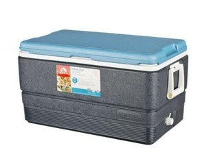 igloo maxcold cube