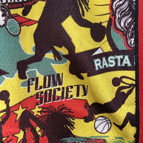 Flow Hoops Youth Medium Basketball Shorts Rasta University L15 - Picture 3 of 10