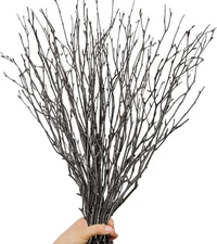 30Pcs Real Dried Birch Twigs - 17” Decorative 100% Natural Birch Branches