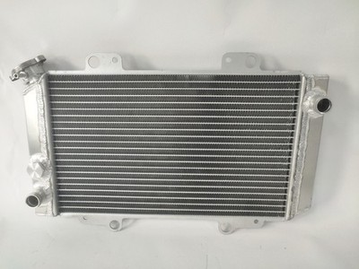 Radiator OEM#19202-107-0000 For Hisun Forge 500 700 COLEMAN 800 Trail Tamer 800