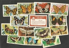 1960 Shell Project Cards Butterflies and Moths