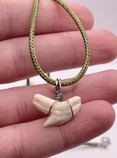 Real Modern Tiger Shark Tooth Necklace | Pick your Cord Color | Waxed Cord