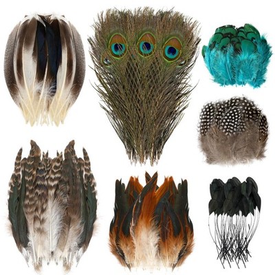 100 Pcs Natural Feathers Bulk, 7 Styles Mix Spotted Feather Pheasant Feather ...